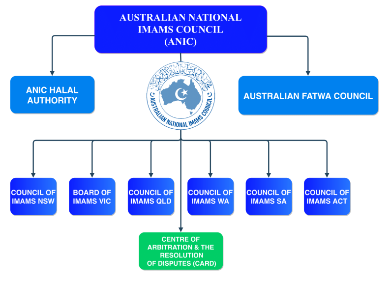 ANIC Diagram Updated-1